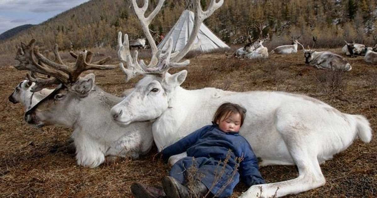 dukha mongolian reindeer tribe featured.jpg?resize=412,275 - Photographer Captures Stunning Photos Of Lost Mongolian Tribe Including Their Life And Culture