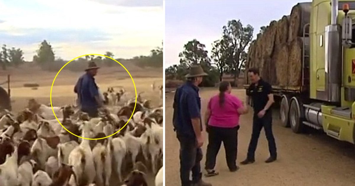 gagaget.jpg?resize=412,232 - Australian Farmer About To Shoot His Flock Of 1200 Sheep Gets Emotional After Receiving A Last-minute Donation From Strangers