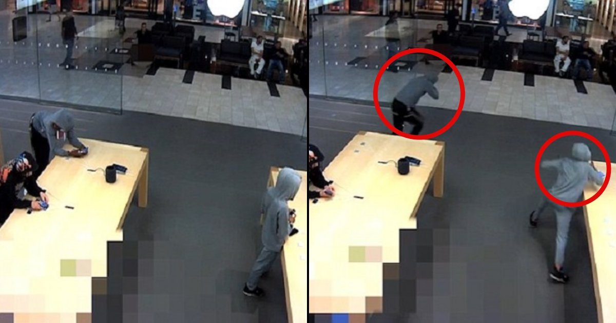 gang 1.jpg?resize=1200,630 - Une bande de voleurs s'empare d'iPhones d'une valeur de 19 000 $ dans l'Apple Store de New York