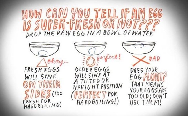 A graphic showing you how to tell if your eggs are expired or good to eat.