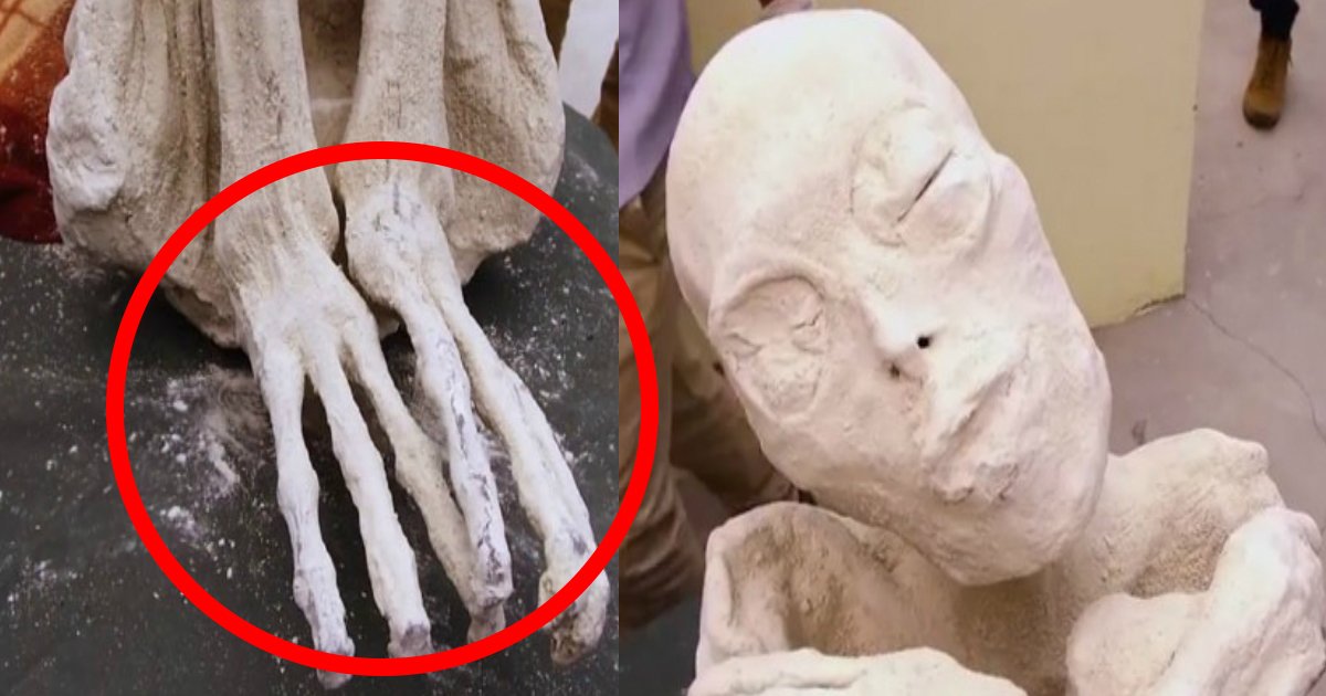 mummy ttl.jpg?resize=1200,630 - 【新種人類!?】三本指の真っ白なミイラが発見される！