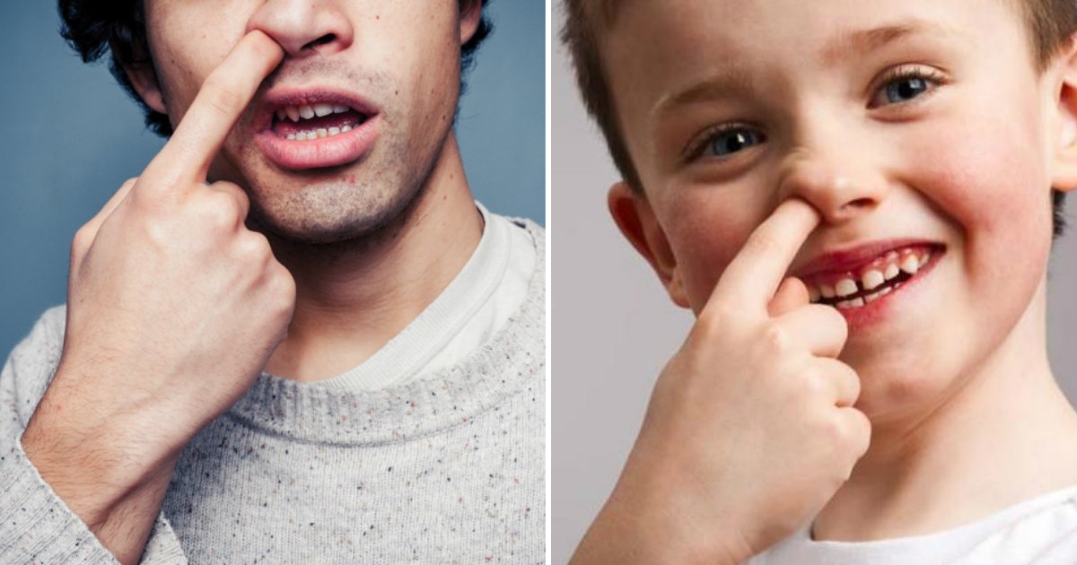 nose picking.jpg?resize=1200,630 - La science explique pourquoi se curer le nez pourrait être bon pour la santé.