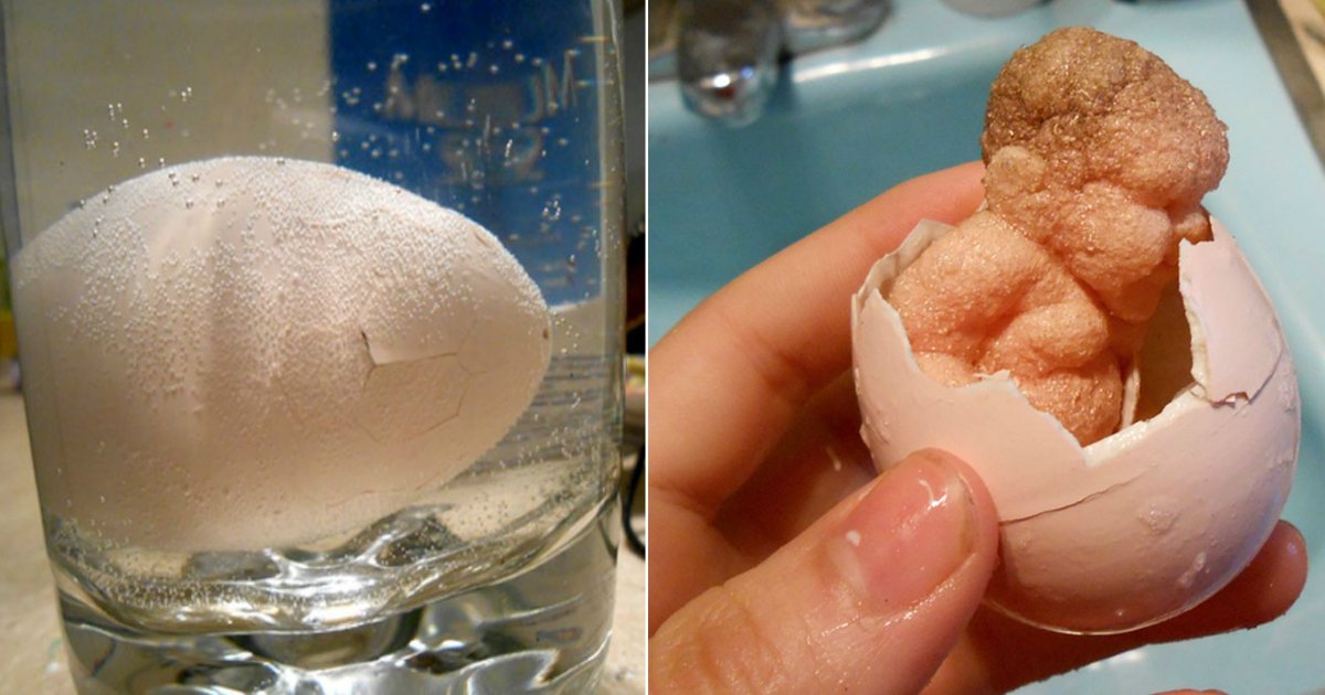 old toy gone wrong.jpg?resize=412,275 - Someone Bought Old ‘Grow In Water’ Egg, Soaked It In Water, Regretted It Hours Later