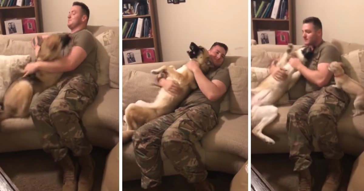 pic copy 2 1.jpg?resize=1200,630 - German Shepherd Reunited With Her Soldier Daddy After 9 Months Apart