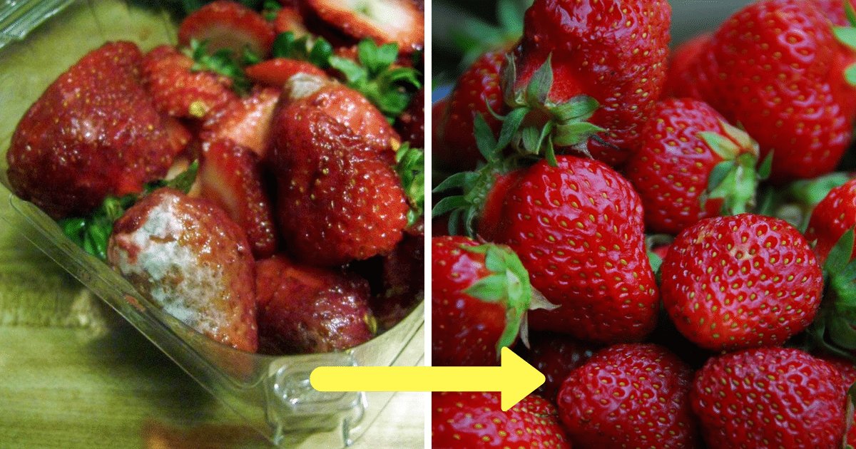 strawberries featured.png?resize=412,232 - Farmers Reveal Ultimate Secret To Keep Berries Fresh For Weeks