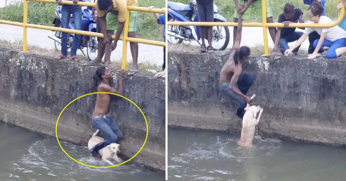 tata 6.jpg?resize=1200,630 - Young Man Dangles Himself On The Safety Barrier To Save A Drowning Dog