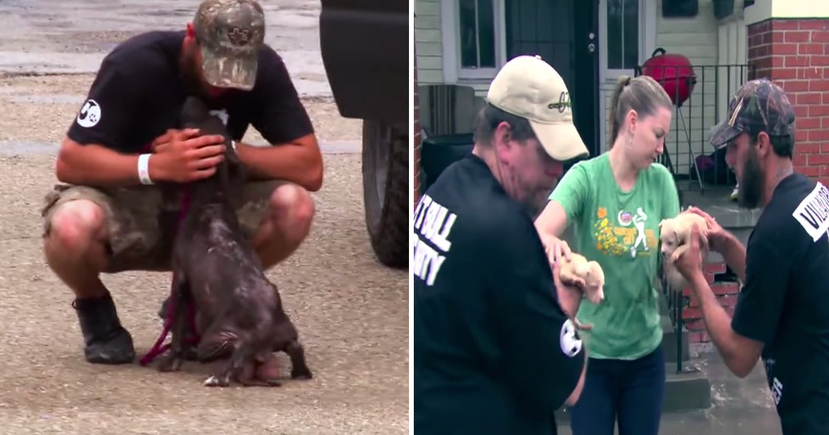 tataa.jpg?resize=1200,630 - Une maman chienne abandonnée a été sauvée à 20 pieds de sa maison