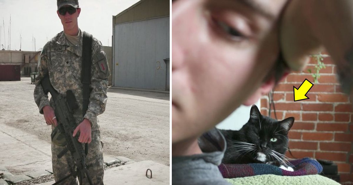 tataaa 4.jpg?resize=1200,630 - Un chat a sauvé la vie d'un jeune ex-soldat en lui faisant réaliser une chose très importante