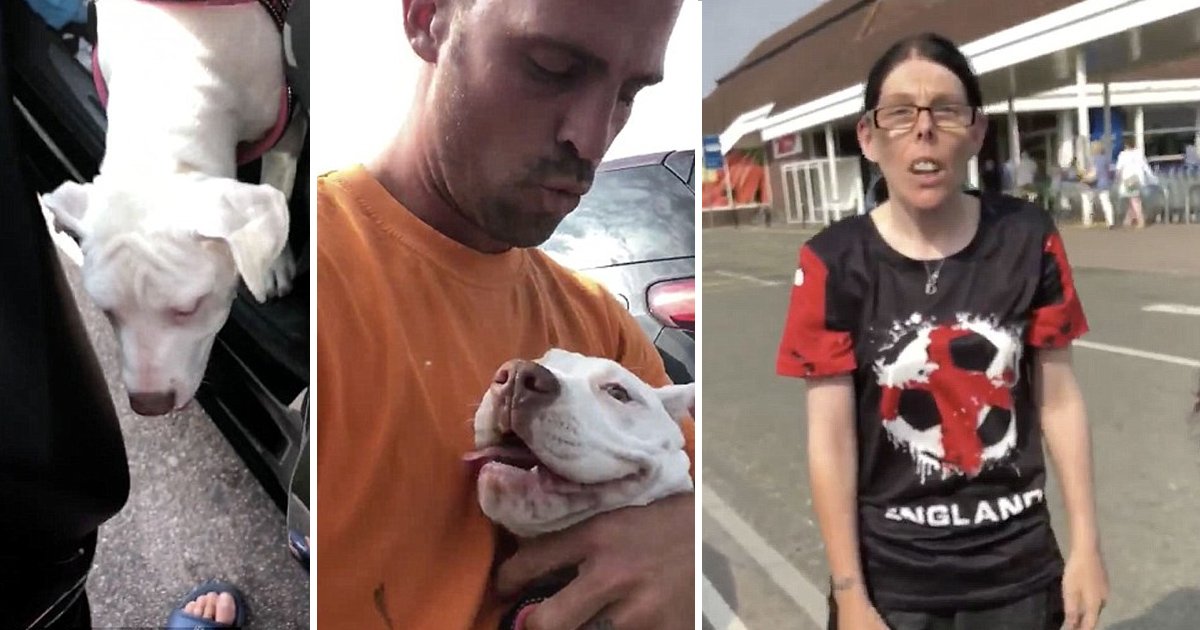tetw.jpg?resize=1200,630 - [Vidéo] Il libère deux chiens enfermés dans une voiture en plein soleil, avant de confronter leur propriétaire.