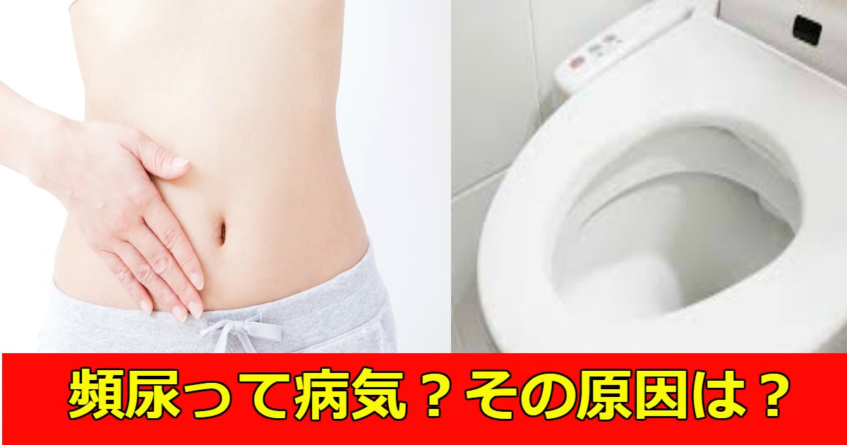 toire.png?resize=412,275 - とにかくトイレが近い！頻尿も病気なの？