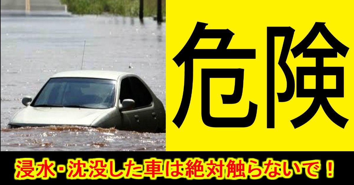 unnamed file 22.jpg?resize=412,232 - 【二次災害注意】浸水・水没した車には絶対触らないで！