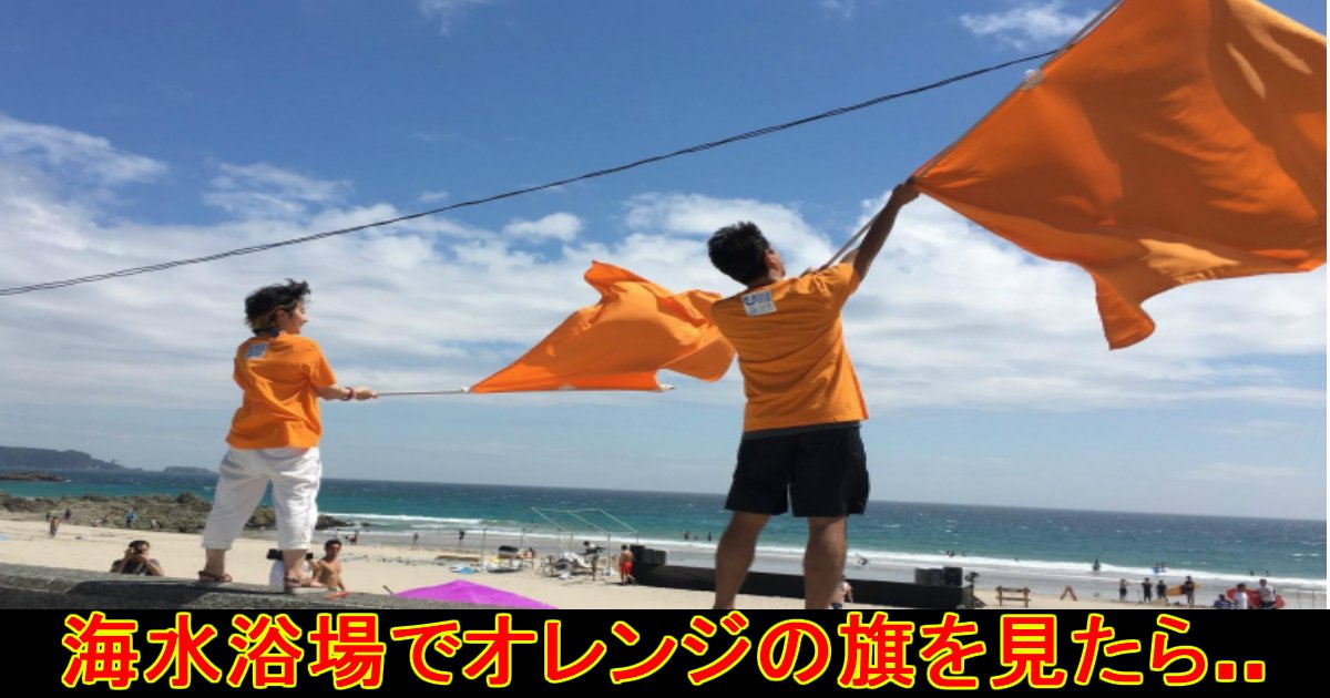 unnamed file 50.jpg?resize=412,232 - 海水浴場で『オレンジ色の旗』を見かけたら即避難を！