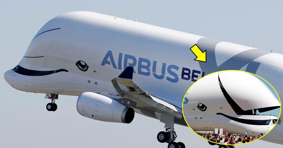 vgaga.jpg?resize=1200,630 - Le nouvel avion cargo Belugaxl d'Airbus effectue son premier vol avec une "image conviviale"