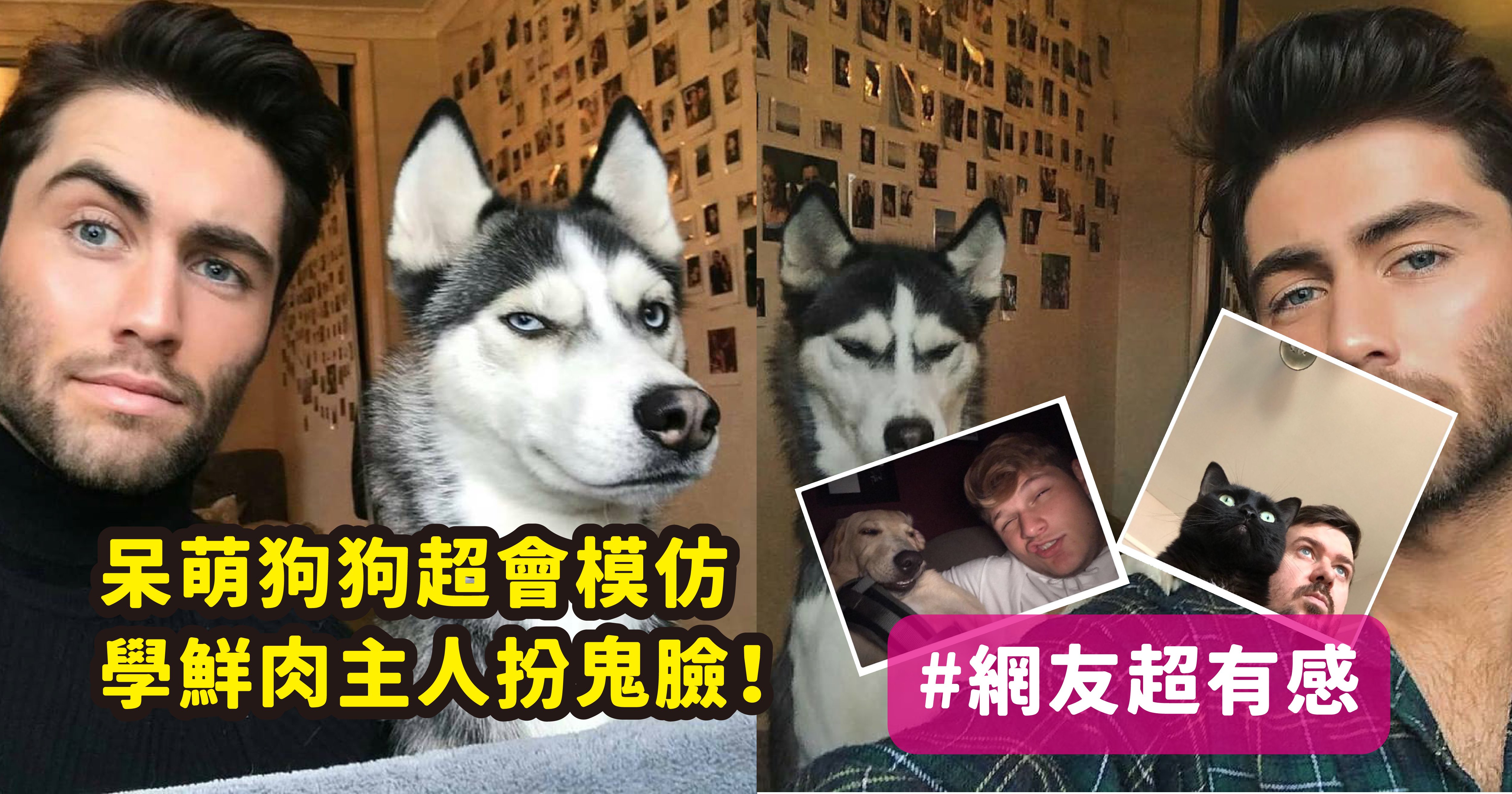 vonvone5b081e99da2 e78b97 01.png?fit=1024%2C538&ssl=1&strip=all - 超蠢萌哈士奇居然能完美模仿帥哥主人的表情！請你跟我這樣做～