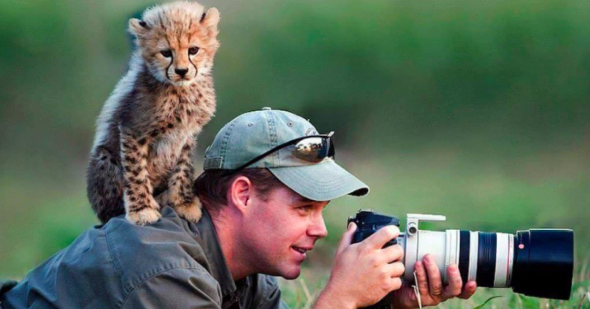 2 193.jpg?resize=412,275 - 29 of the Most Incredible Photos of Animals Interrupting Wildlife Photographers