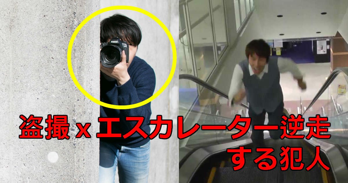 4 19.jpg?resize=412,275 - 久里浜駅で盗撮してエスカレーターを逆走した犯人の情報アリ!!動機ヤバすぎ…