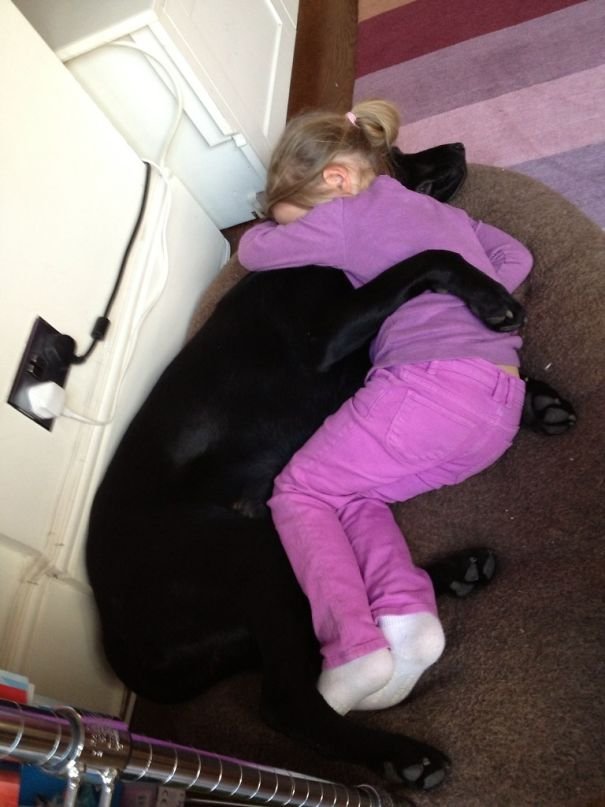When She Comes Home From A Long Day At School, Having A Bad Day, Been Told Off Or Sad... She Cuddles Her Best Friend