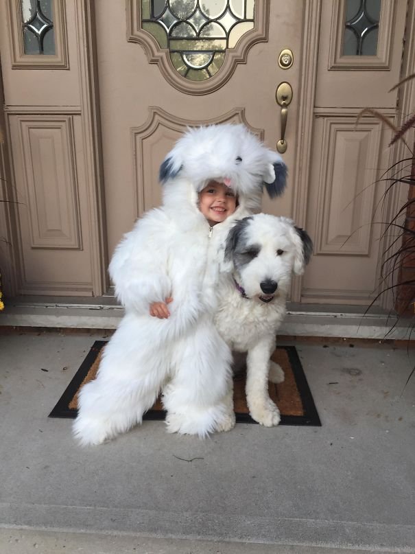 My Daughter Wanted To Be A Sheepdog For Halloween