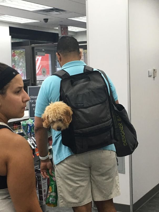 I Was Shockeded When Someone Licked My Arm In The Walgreens This Morning I Was Shockeded When Someone Licked My Arm In The Walgreens This Morning