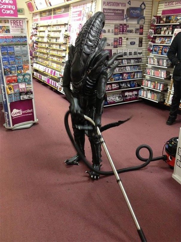 Damn Illegal Aliens Stealing Our Jobs Damn Illegal Aliens Stealing Our Jobs