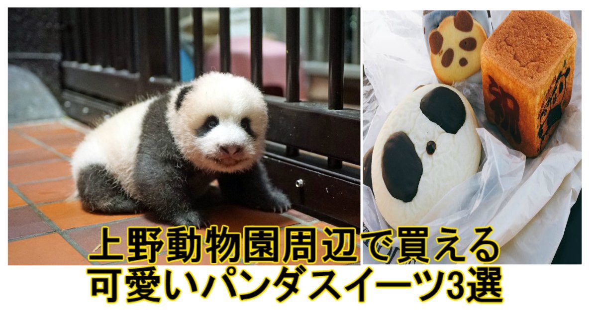 a 10.jpg?resize=412,275 - 手土産にいい！上野動物園周辺で買える可愛いパンダスイーツ3選