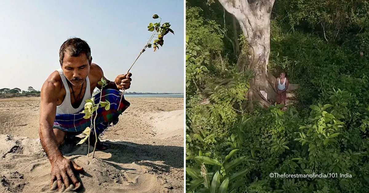 arbol.jpg?resize=412,232 - Este hombre convirtió un desierto en un bosque plantando un árbol todos los días durante 40 años