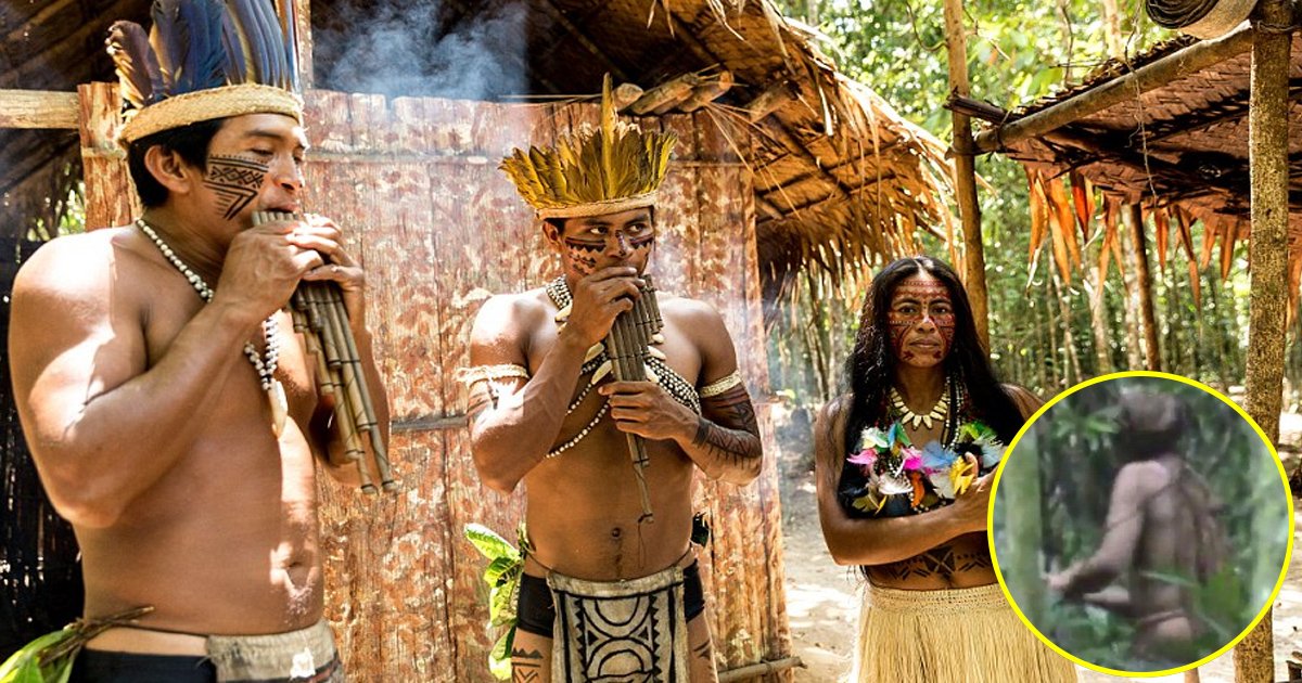 baaa.jpg?resize=1200,630 - 16 personnes d'une tribu inconnue ont été enregistrées sur une vidéo prise par un drone dans la forêt amazonienne