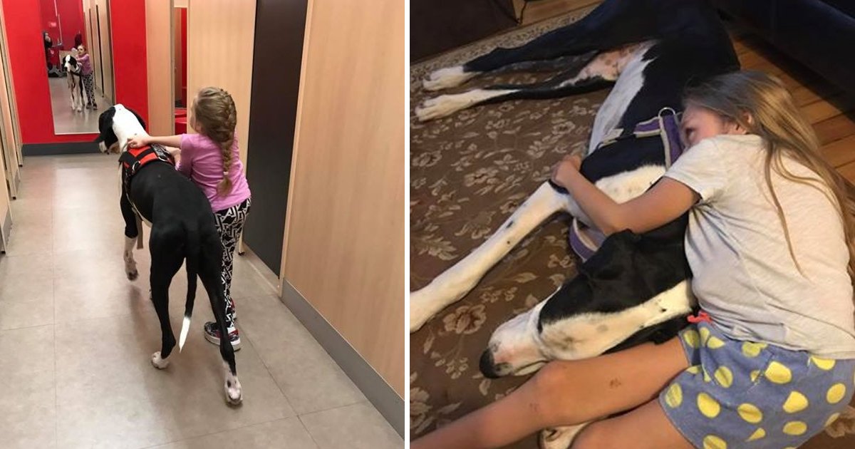 bbga.jpg?resize=1200,630 - Un chien d'assistance aide une fille ayant une anomalie congénitale à marcher et est récompensé avec des gâteries réconfortantes