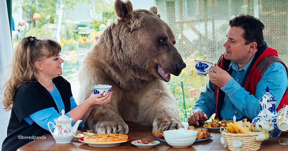bear.jpg?resize=1200,630 - Pareja rusa adoptó un oso huérfano hace 23 años, y aún viven juntos