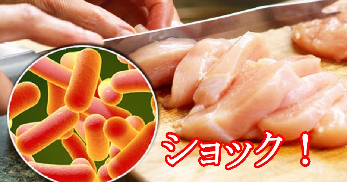 chicken.jpg?resize=412,275 - 半熟の鶏肉を食べて「食中毒」で一日で命を失った女性