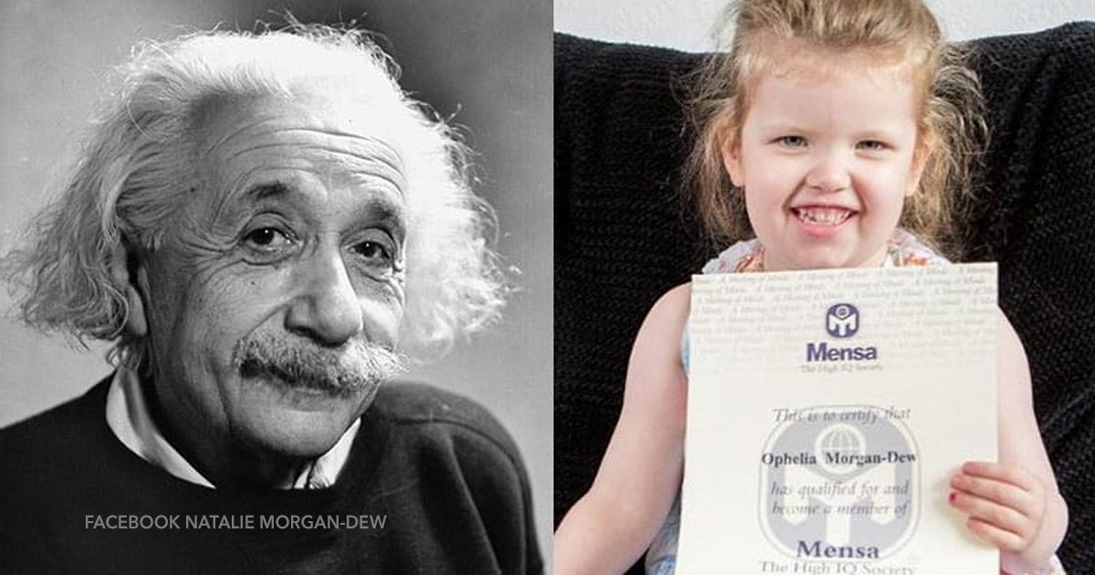 cov 1 53.png?resize=1200,630 - Ophelia, la niña de tres años que tiene un coeficiente superior a Einstein y Hawking