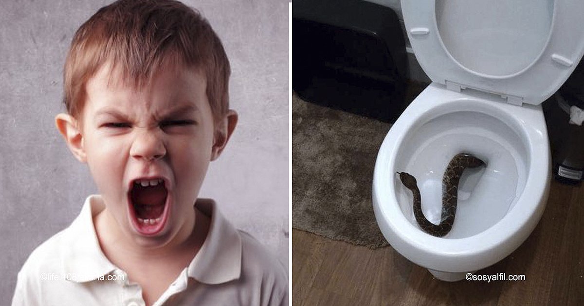 cover22 11.jpg?resize=1200,630 - Este pequeñito de 4 años de edad se llevó un susto al encontrar una serpiente de cascabel en el baño