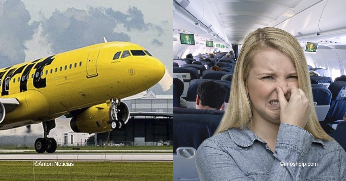 cover22 5.jpg?resize=1200,630 - El “olor a calcetines sucios” causó que un avión aterriza de emergencia y 10 pasajeros fueran hospitalizados