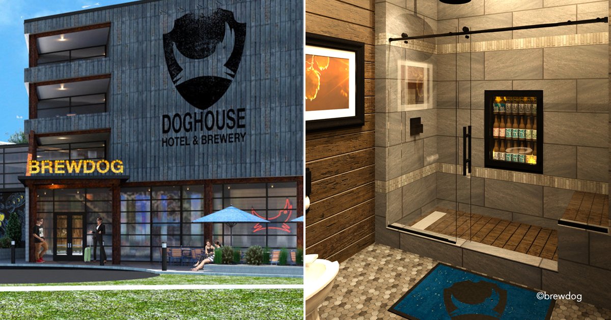 doghouse.jpg?resize=412,275 - Abre el primer hotel cervecero del mundo con grifos en cada habitación