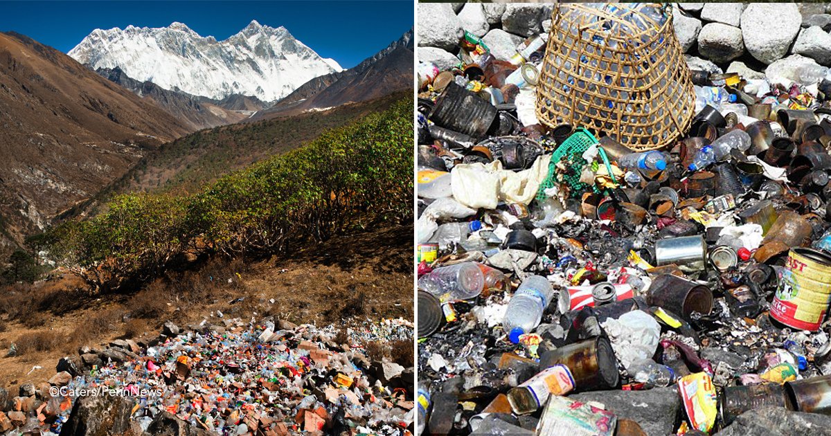 ever.jpg?resize=412,275 - El terrible impacto del turismo en el Everest