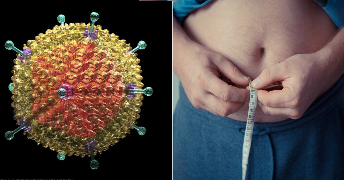 fat genes.jpg?resize=1200,630 - Des scientifiques découvrent un virus lié au gain de poids: un vaccin pour vaincre l'obésité en cours