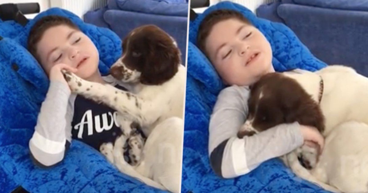 featured image 13.jpg?resize=1200,630 - Mom Bought Puppy For Disabled Son And Now They Are The Best Of Friends