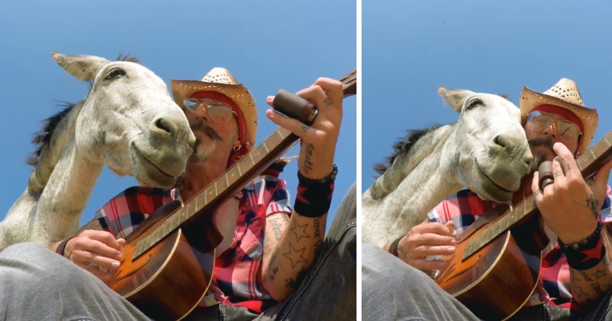 featured image 31.jpg?resize=1200,630 - Heartwarming Moment When Rescue Donkey Smiles And Rests Her Head On Guitarist As He Plays Music For Her