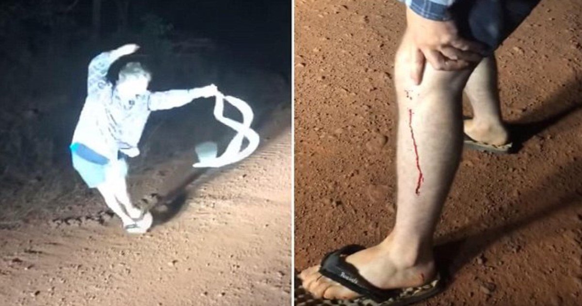 featured image 62.jpg?fit=1024%2C538&ssl=1&strip=all - Man Tried To Move A Snake Off A Dirt Road And Got Bitten