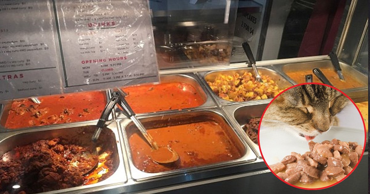 gsg.jpg?resize=1200,630 - Esse restaurante indiano ia servir carne de animal de estimação ao invés de carne de cordeiro