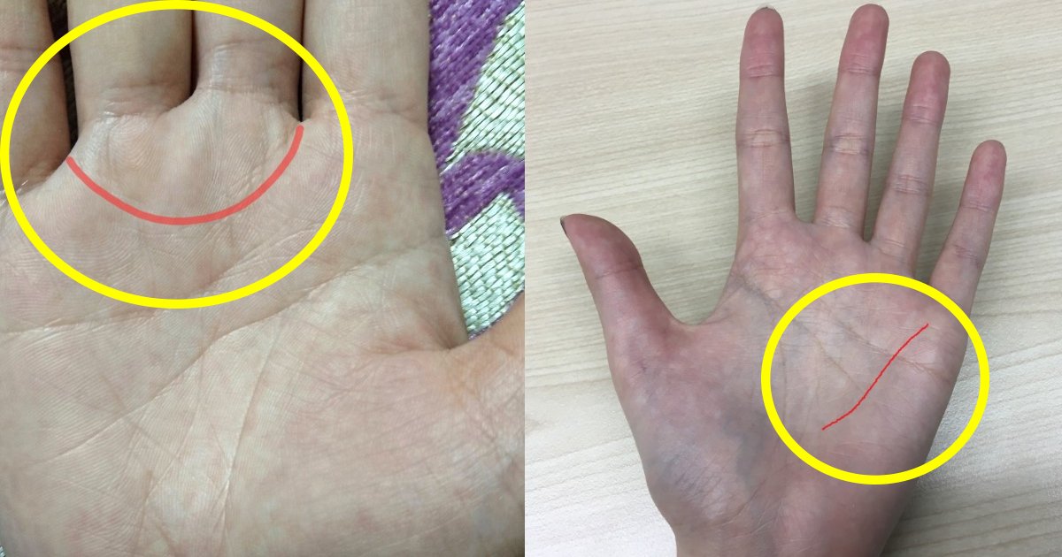 hand 1.jpg?resize=412,232 - 人類の1%しかないといわれている貴重な才能を持つ人の手相って？