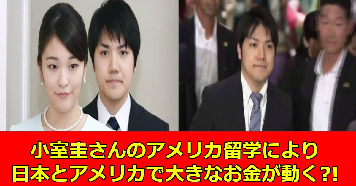 kei.png?resize=412,275 - 眞子さまの恋人・小室圭さん、アメリカ留学後も2億5000万円の税金がかかる？