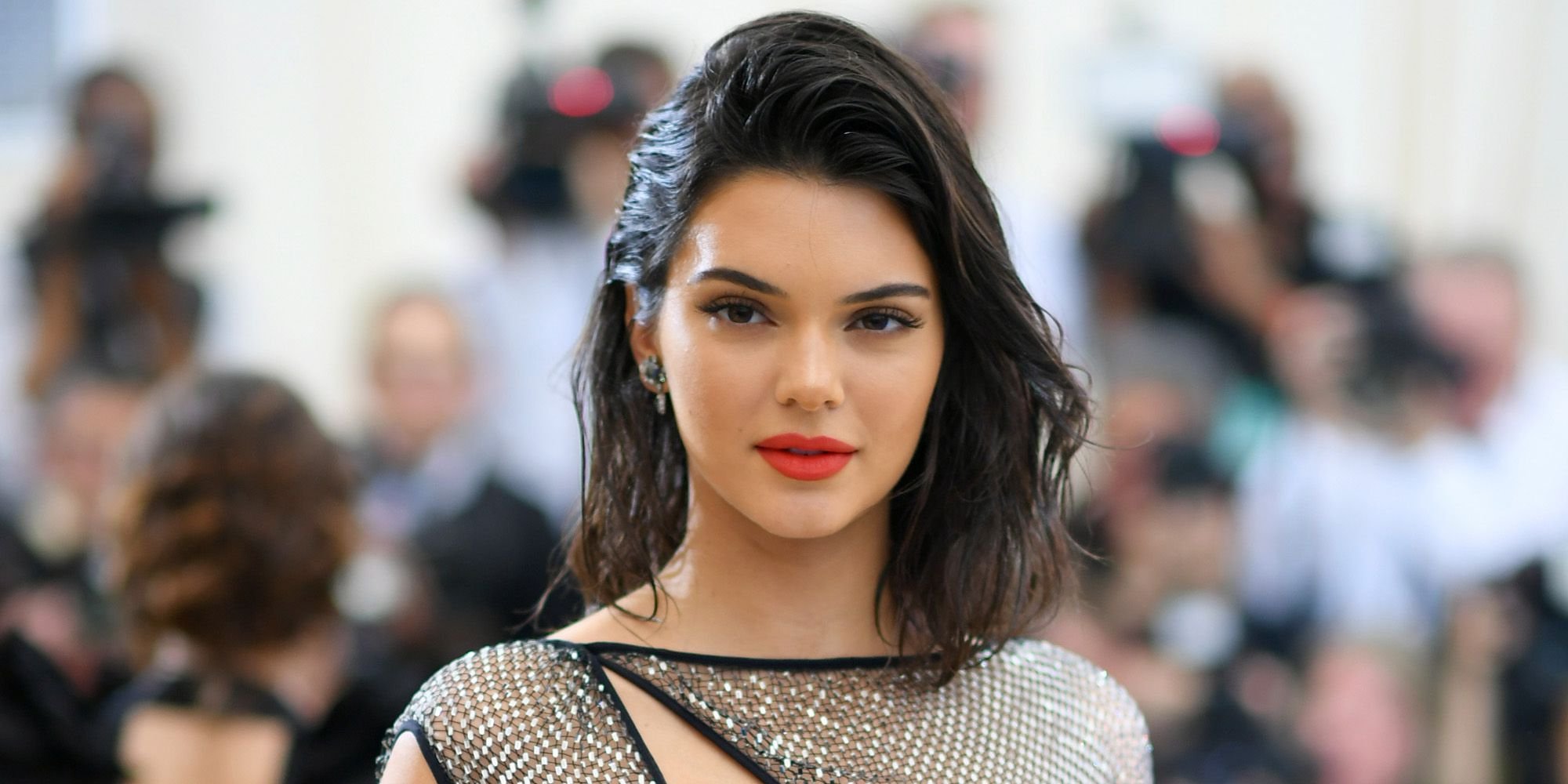 Le doberman de Kendall  Jenner  aurait mordu une enfant dans 