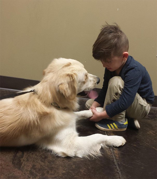 My Son Giving His Dog A Quick Pep Talk Before The Vet Comes Back