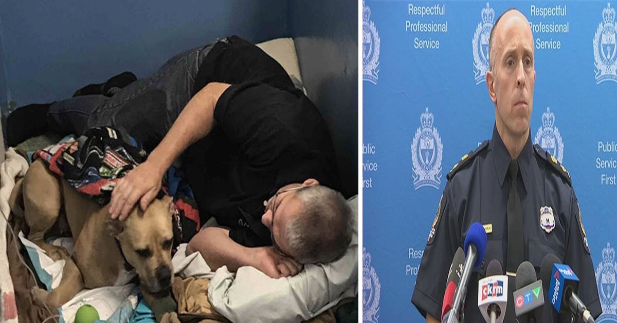 missty dog shot by officer canada 5.jpg?resize=1200,630 - Un policier de Regina, au Canada, a tiré sur un chien qui voulait juste jouer avec lui
