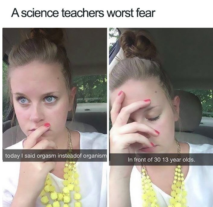 teacher