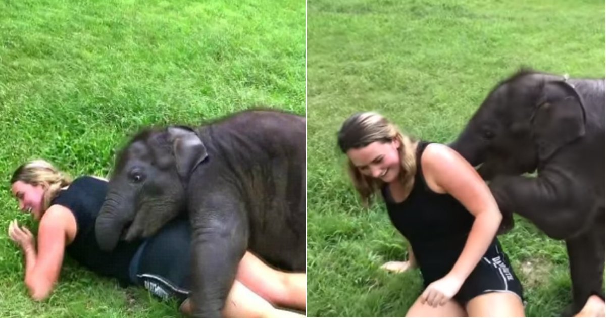 suki elephant.jpg?resize=1200,630 - Bébé éléphant n'arrêtera pas de serrer dans ses bras et d'embrasser cette touriste