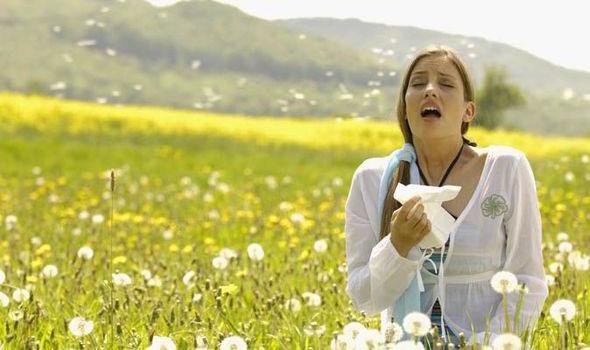 Hay fever Hay fever