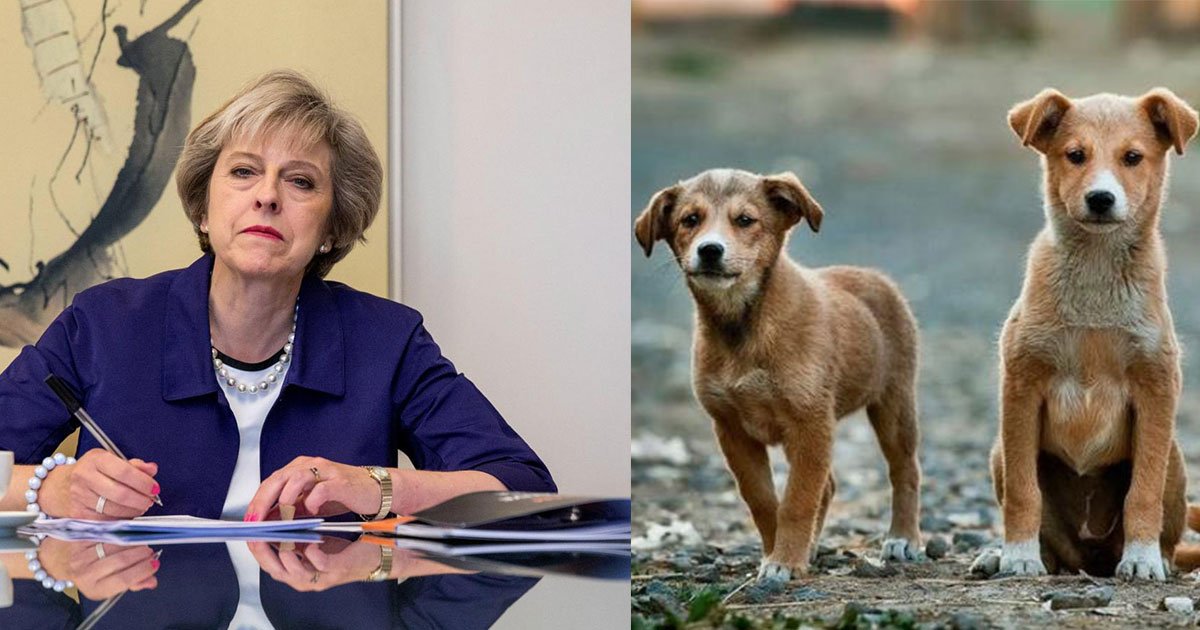 theresa may have been called to ban eating dog meat in britain.jpg?resize=1200,630 - Theresa May a été demandée d'interdire la consommation de «viande de chien» en Grande-Bretagne