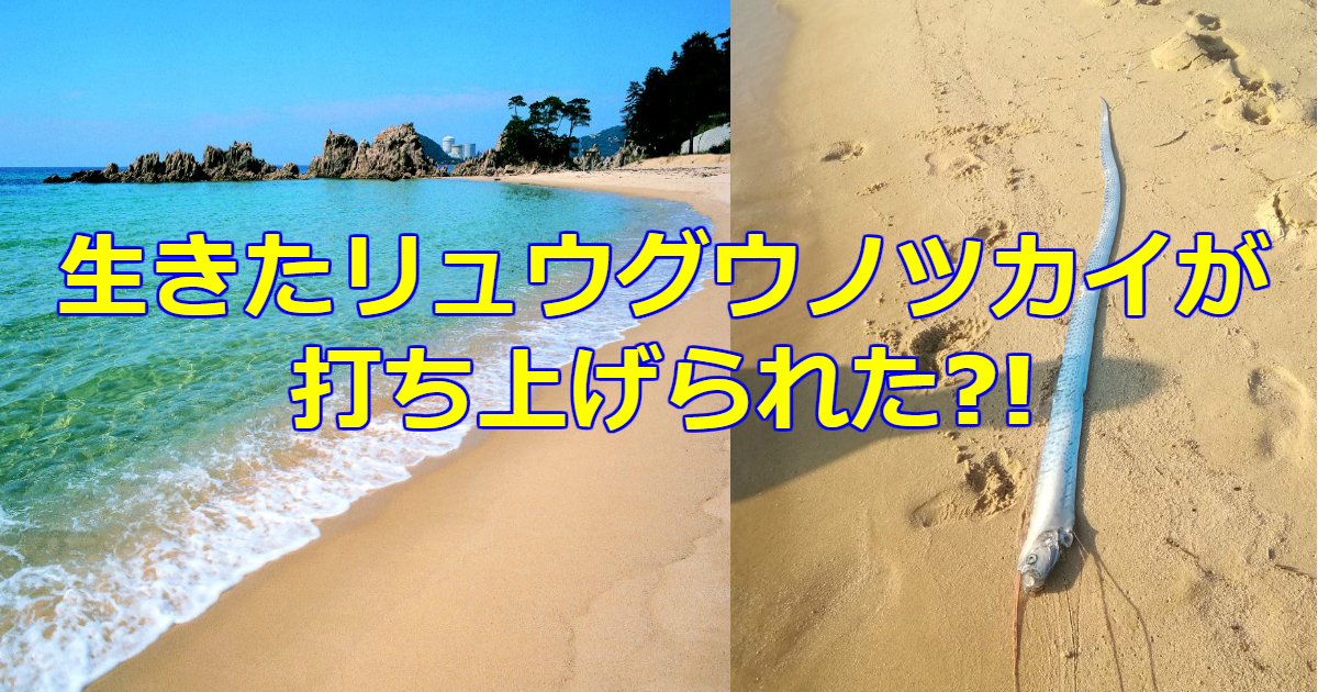 tukai.png?resize=1200,630 - 福井県の海にリュウグウノツカイが目撃される！もしかして地震の予兆？